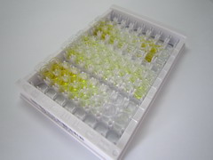 血管性血友病因子(vWF)检测试剂盒(酶联免疫吸附试验法)