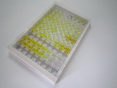 促肾上腺皮质激素(ACTH)检测试剂盒(酶联免疫吸附试验法)