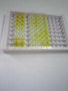 促性腺激素释放激素(GnRH)检测试剂盒(酶联免疫吸附试验法)