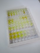 促性腺激素释放激素(GnRH)检测试剂盒(酶联免疫吸附试验法)