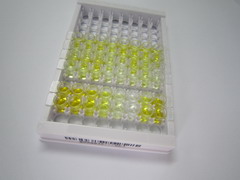 促性腺激素释放激素(GnRH)检测试剂盒(酶联免疫吸附试验法)