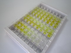 催乳素(PRL)检测试剂盒(酶联免疫吸附试验法)