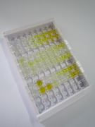 催乳素(PRL)检测试剂盒(酶联免疫吸附试验法)