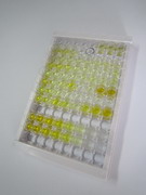 爱帕琳肽12(AP12)检测试剂盒(酶联免疫吸附试验法)