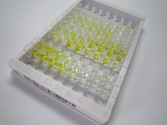 血清淀粉样蛋白A(SAA)检测试剂盒(酶联免疫吸附试验法)