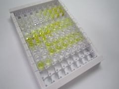 β-骨胶原交联(bCTx)检测试剂盒(酶联免疫吸附试验法)