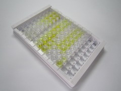 β-骨胶原交联(bCTx)检测试剂盒(酶联免疫吸附试验法)