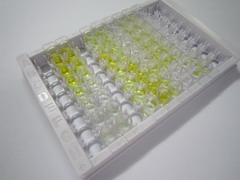 Ⅲ型胶原交联羧基端肽(CTXIII)检测试剂盒(酶联免疫吸附试验法)