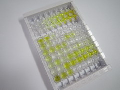 去甲肾上腺素(NE)检测试剂盒(酶联免疫吸附试验法)