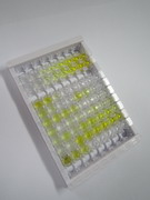 維生素D3(VD3)檢測試劑盒(酶聯(lián)免疫吸附試驗(yàn)法)