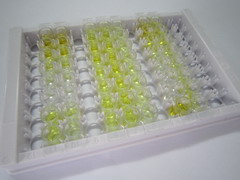 维生素K1(VK1)检测试剂盒(酶联免疫吸附试验法)