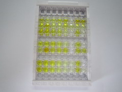 淀粉样蛋白β1-42(Ab1-42)检测试剂盒(酶联免疫吸附试验法)