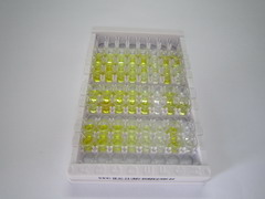 淀粉样蛋白β1-42(Ab1-42)检测试剂盒(酶联免疫吸附试验法)
