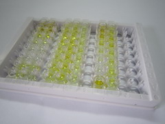 Ⅰ型前胶原氨基端原肽(PINP)检测试剂盒(酶联免疫吸附试验法)