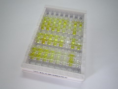 Ⅰ型前胶原氨基端原肽(PINP)检测试剂盒(酶联免疫吸附试验法)