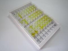 激肽釋放酶1(KLK1)檢測試劑盒(酶聯(lián)免疫吸附試驗(yàn)法)