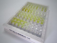 饥饿素(GHRL)检测试剂盒(酶联免疫吸附试验法)