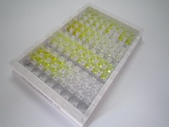 饥饿素(GHRL)检测试剂盒(酶联免疫吸附试验法)