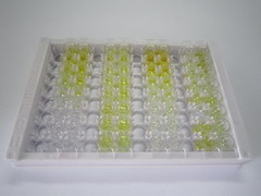 饥饿素(GHRL)检测试剂盒(酶联免疫吸附试验法)