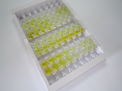 饑餓素(GHRL)檢測試劑盒(酶聯免疫吸附試驗法)