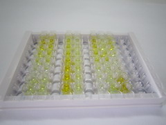 β-羟丁酸(bHB)检测试剂盒(酶联免疫吸附试验法)