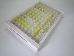 白蛋白(ALB)检测试剂盒(酶联免疫吸附试验法)
