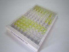 催产素(OT)检测试剂盒(酶联免疫吸附试验法)