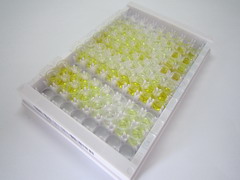 促胰液素(SCT)检测试剂盒(酶联免疫吸附试验法)