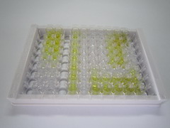 抗利尿激素(ADH)检测试剂盒(酶联免疫吸附试验法)