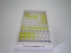 抗利尿激素(ADH)检测试剂盒(酶联免疫吸附试验法)