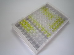 抗利尿激素(ADH)检测试剂盒(酶联免疫吸附试验法)