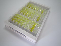 神经降压素(NT)检测试剂盒(酶联免疫吸附试验法)