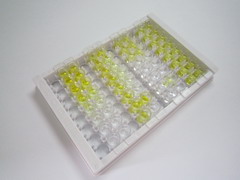 晚期蛋白氧化产物(AOPP)检测试剂盒(酶联免疫吸附试验法)