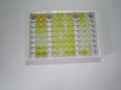 纖維蛋白肽A(FPA)檢測(cè)試劑盒(酶聯(lián)免疫吸附試驗(yàn)法)