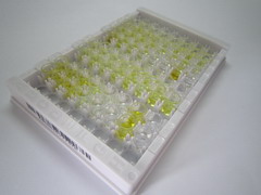 不對(duì)稱二甲基精氨酸(ADMA)檢測(cè)試劑盒(酶聯(lián)免疫吸附試驗(yàn)法)