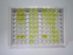 纤维蛋白肽B(FPB)检测试剂盒(酶联免疫吸附试验法)