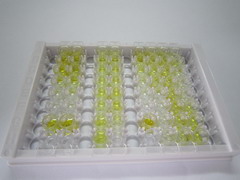 阿黑皮素原(POMC)檢測(cè)試劑盒(酶聯(lián)免疫吸附試驗(yàn)法)