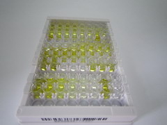 血栓素A2(TXA2)检测试剂盒(酶联免疫吸附试验法)