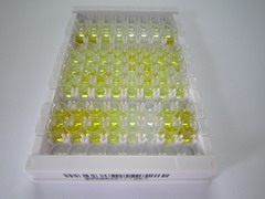 β-促脂素(bLPH)检测试剂盒(酶联免疫吸附试验法)