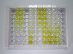 脂氧素A4(LXA4)检测试剂盒(酶联免疫吸附试验法)