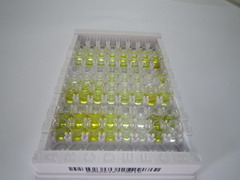 绒毛膜促性腺激素α肽(CGa)检测试剂盒(酶联免疫吸附试验法)