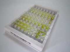 凝血因子ⅩⅢB肽(F13B)检测试剂盒(酶联免疫吸附试验法)