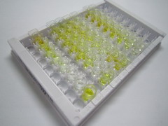 硝基酪氨酸(NT)檢測(cè)試劑盒(酶聯(lián)免疫吸附試驗(yàn)法)