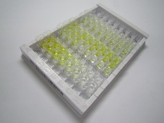 爱帕琳肽13(AP13)检测试剂盒(酶联免疫吸附试验法)