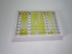 爱帕琳肽13(AP13)检测试剂盒(酶联免疫吸附试验法)