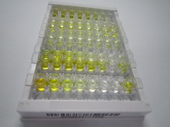 Salusin肽α(SALa)检测试剂盒(酶联免疫吸附试验法)