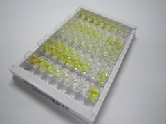 前胰淀粉样蛋白(ProIAPP)检测试剂盒(酶联免疫吸附试验法)