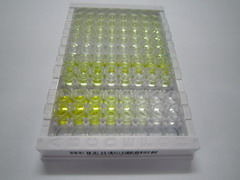 前列腺素D2(PGD2)检测试剂盒(酶联免疫吸附试验法)