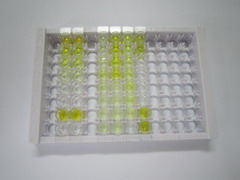 鐵調(diào)素(Hepc)檢測試劑盒(酶聯(lián)免疫吸附試驗法)
