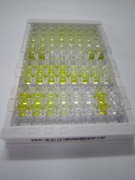 铁调素(Hepc)检测试剂盒(酶联免疫吸附试验法)